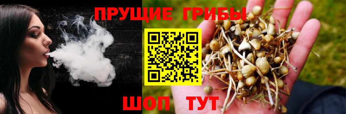 Галлюциногенные грибы Cubensis  Вход с VPN  купить наркоту  Северск 